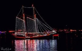 Sunset Nights of Lights Sail