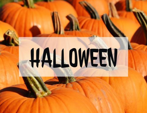 What’s happening this Halloween 2016 season in and around St. Augustine?