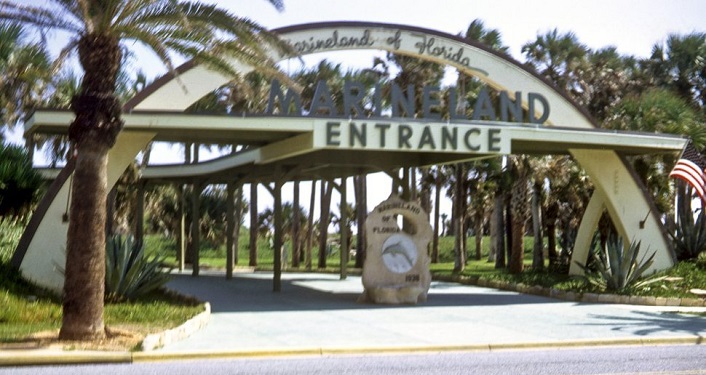 Marineland of Florida in the Past