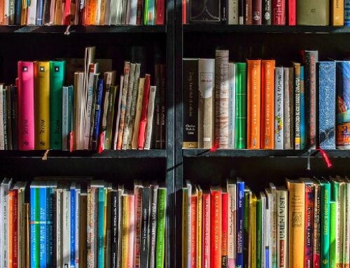 Local Reads: Books Inspired by St. Augustine