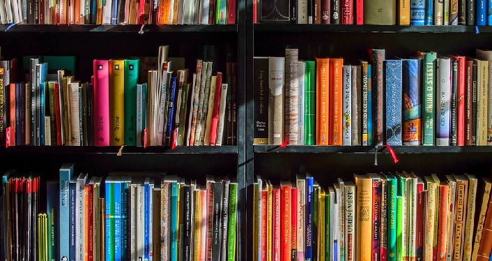 A photo of three shelves full of books.