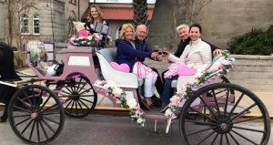 Grab your sweetie and join us for a 3 hour food/wine pairing tour or a private carriage for your Valentine Carriage Rides and Culinary Tours with The Tasting Tours.