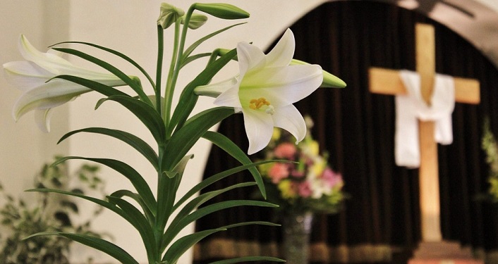 image of Easter Lily in a church, draped cross in the background