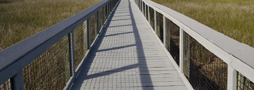 Image contains a boardwalk over a marsh.