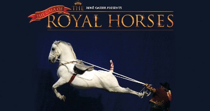 Gala Of The Royal Horses St Augustine Fl Oldcity Com