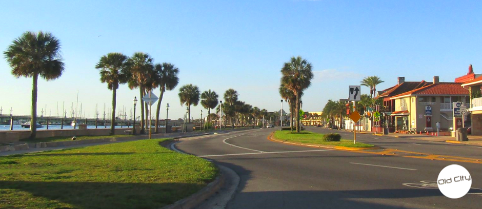 A street lined on one side by palm trees and the other side by St. Augustine businesses.