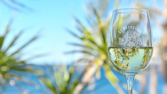Half-full glass of white wine with St. Augustine Food + Wine Festival; blue sky and water, palm fronds in background