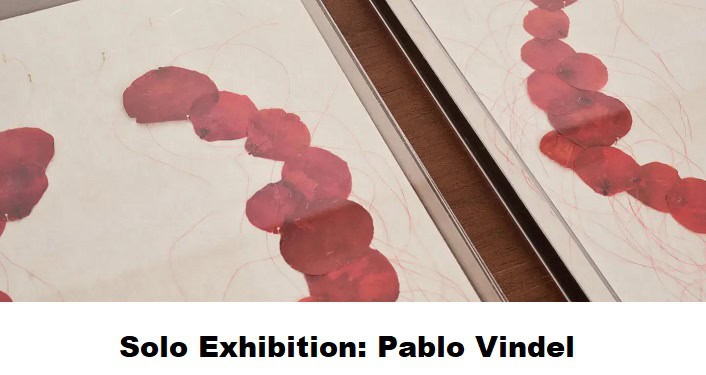 Solo Exhibition: Pablo Vindel