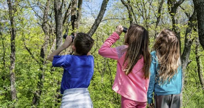 Homeschool Birding