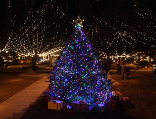 St. Augustine’s Best Spots for a Holiday Photoshoot