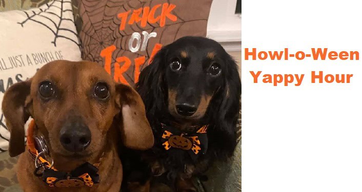 Howl-o-Ween Yappy Hour