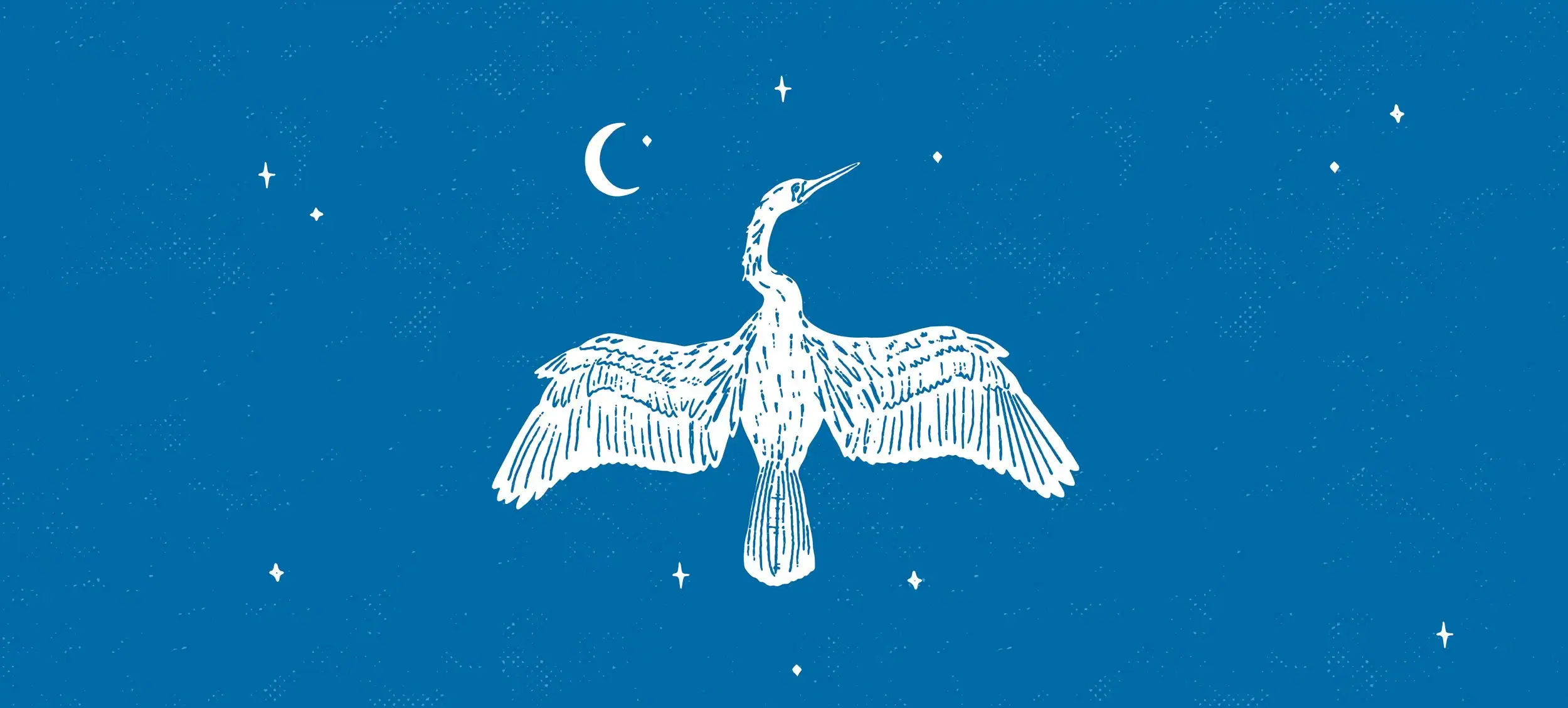 Snake Bird logo: a white anhinga bird, crescent moon, and stars against a blue backdrop.