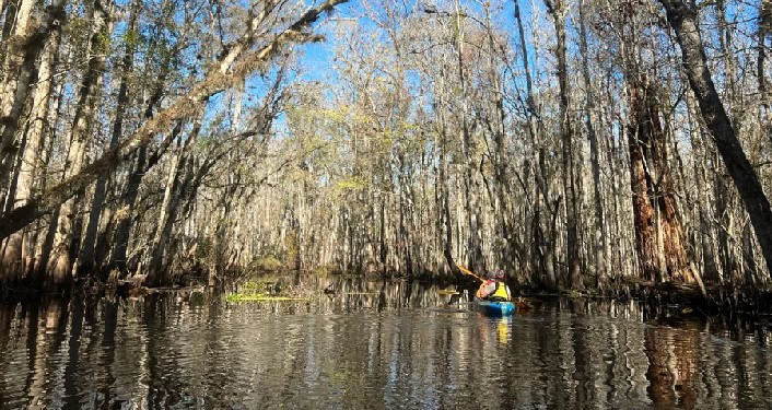 Durbin Creek Kayaking