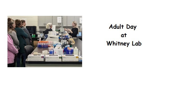 Adult Day at Whitney Lab
