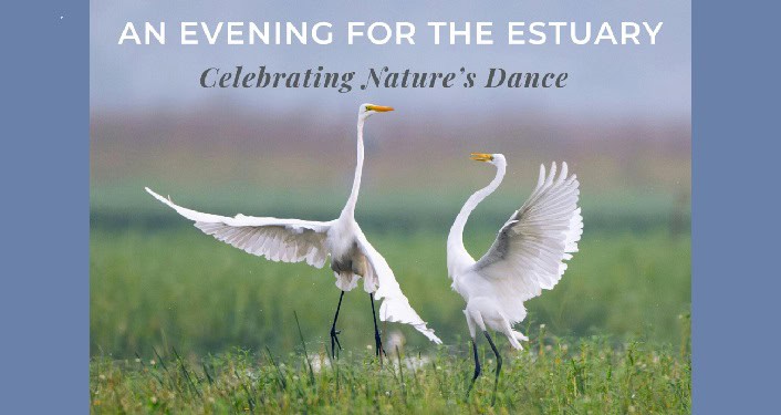 GTM An Evening for the Estuary