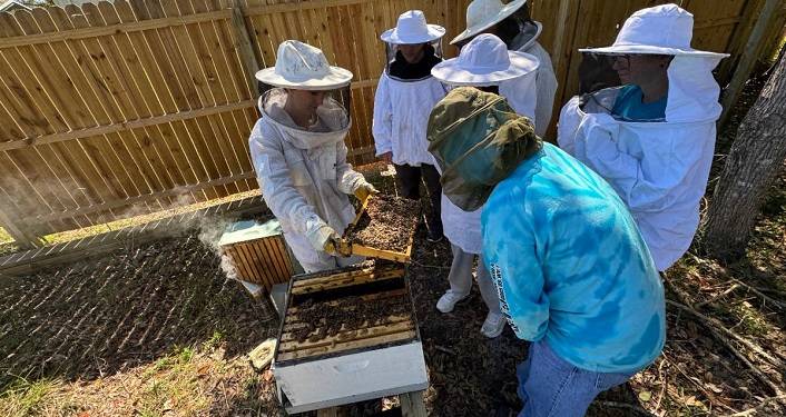 Sustainable Futures: Career Camp